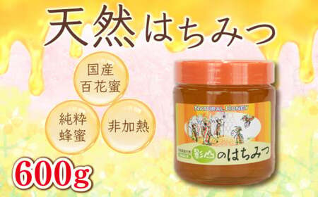 先行予約 はちみつ 蜂蜜 非加熱 600g 国産 無添加 天然 ハニー シロップ 健康 美容 常温保存 保存食 防災 備蓄 百花蜂蜜 百花はちみつ 純粋はちみつ 生はちみつ 天然はちみつ ヨーグルト アイス ゼリー ケーキ ジュース 洋菓子 和菓子 デザート スイーツ 焼菓子 ギフト プレゼント 贈答用 送料無料 徳島県 阿波市 影山養蜂研究所
