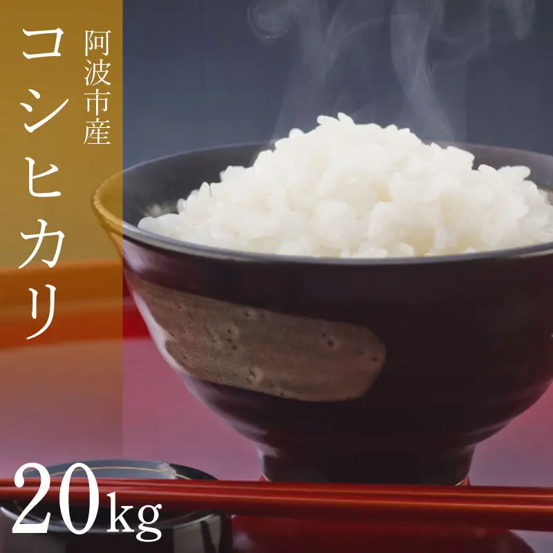 コシヒカリ 20kg 令和8年産 米 こめ