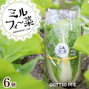 ミニ白菜 6個 ミルフィ～菜 【 白菜 】