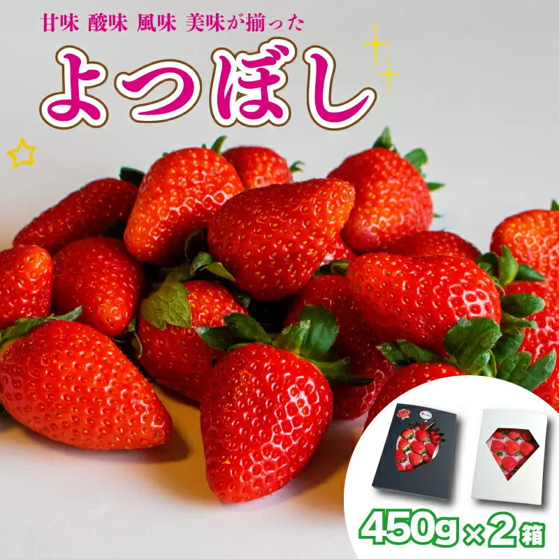 果物 フルーツ いちご よつぼし 大粒 2箱 ギフト 化粧箱 ストロベリー スイーツ 阿波市 徳島県 人気急上昇
