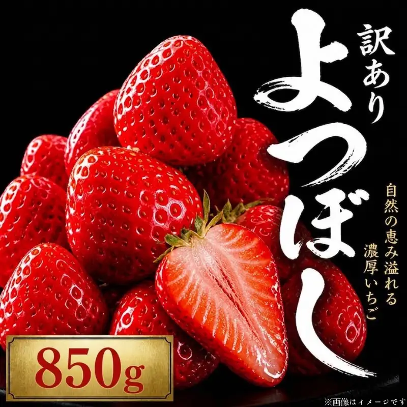 いちご よつぼし 850g 訳あり 苺 【 いちご 】