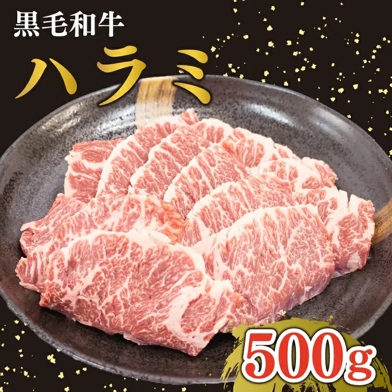 ハラミ 国産 500g 牛肉 黒毛和牛 冷凍 30000円 3万円