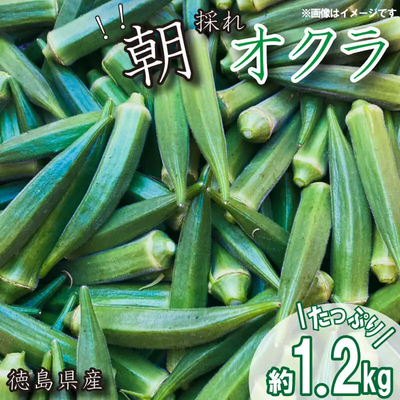 野菜 オクラ 約 1kg 以上 《 先行予約 5月下旬～発送開始》 夏野菜 阿波市産 徳島県