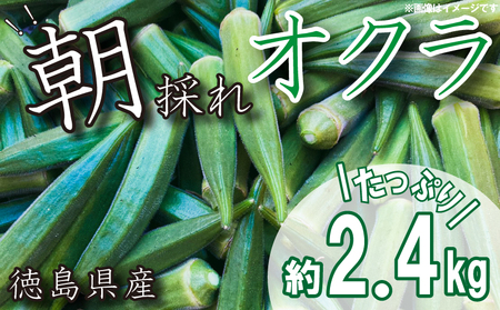 野菜 オクラ 約 2kg 以上 朝採れ《 先行予約 5月下旬～発送開始》 夏野菜  阿波市産 徳島県