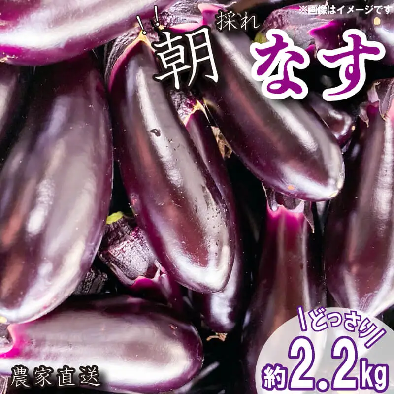野菜 なす 約 2kg 以上 千両なす 《 先行予約 5月下旬～発送開始》 夏野菜 阿波市産 徳島県