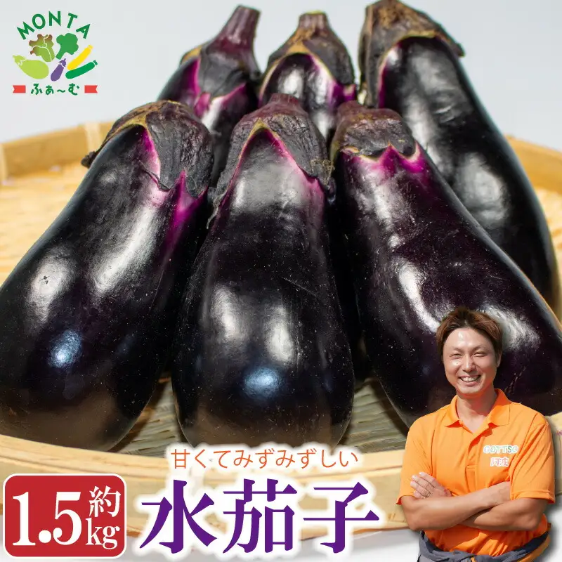 茄子 水茄子 約1.5kg