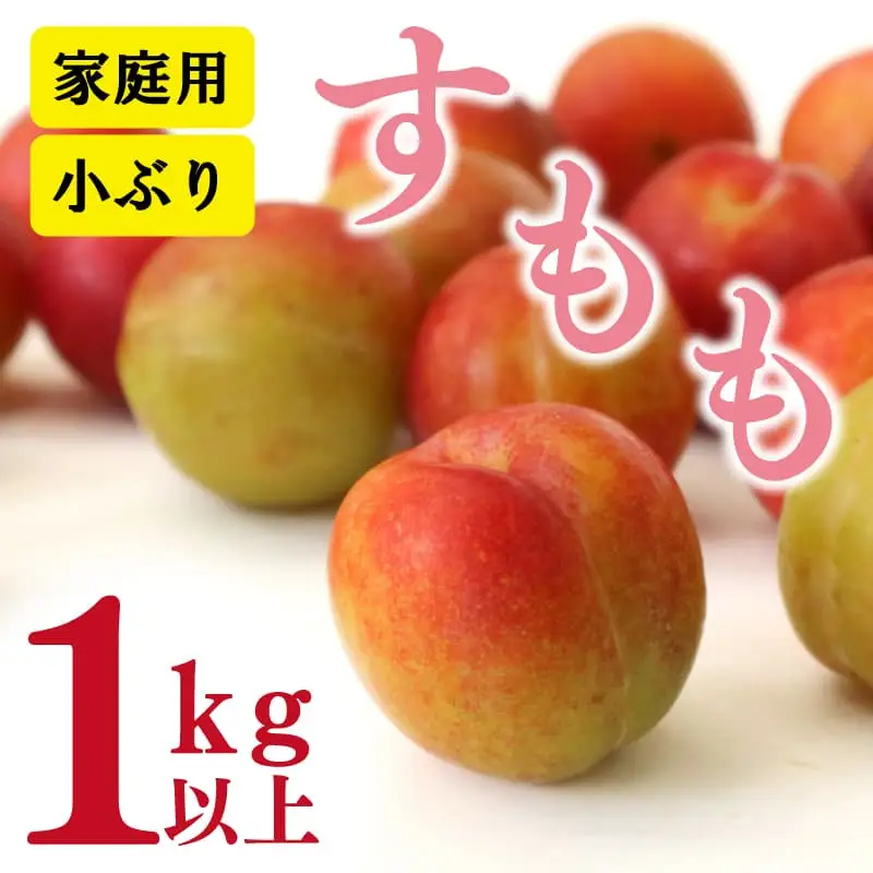 訳あり フルーツ すもも 桃 モモ 1kg 以上 先行予約 プラム 甘い 小ぶり 家庭用 阿波市産 徳島県 産地直送 農家直送 生産者直送 四国