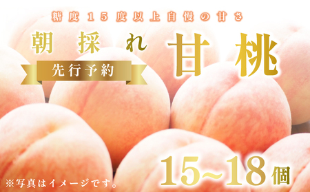 桃 もも 甘桃 15～18個 《6月下旬～発送》 果物 フルーツ 朝採れ 糖度 15 以上 徳島県 阿波市  先行予約