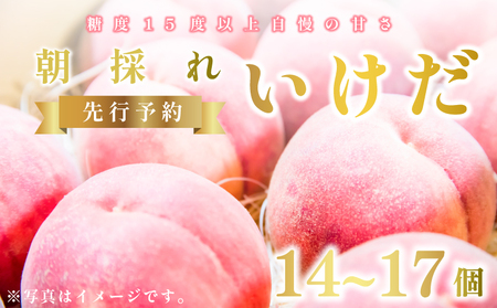 桃 もも いけだ 14～17個 《7月中旬～発送》 果物 フルーツ 朝採れ 糖度 15 以上 徳島県 阿波市 先行予約