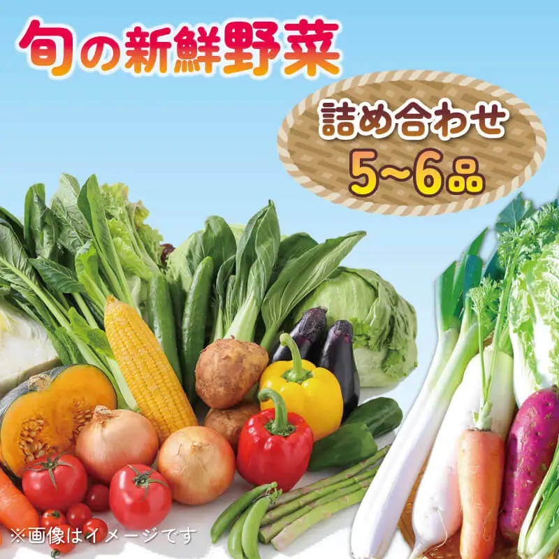 季節の野菜 詰合せセット 5～6品目 野菜 野菜 野菜 野菜 野菜