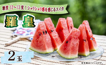 スイカ 羅皇 2玉 西瓜 夏 果物 フルーツ 高糖度 阿波市 徳島県産 フルーツ デザート 夏 プレゼント  先行予約