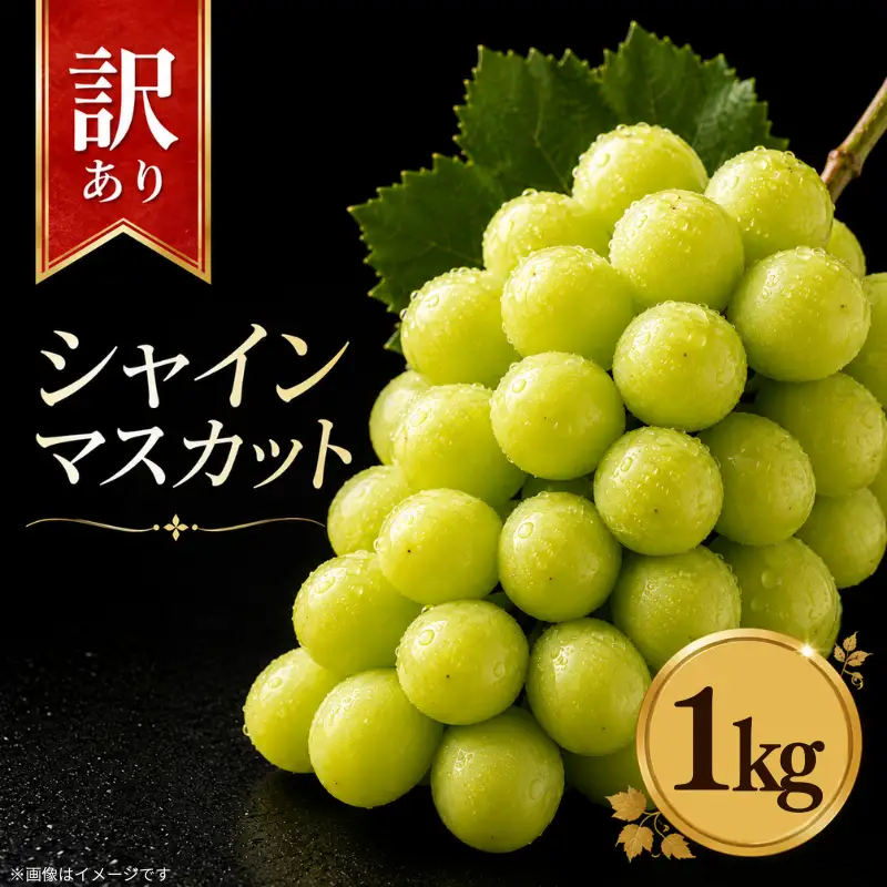 訳あり シャインマスカット 約 1kg  【 シャインマスカット 】