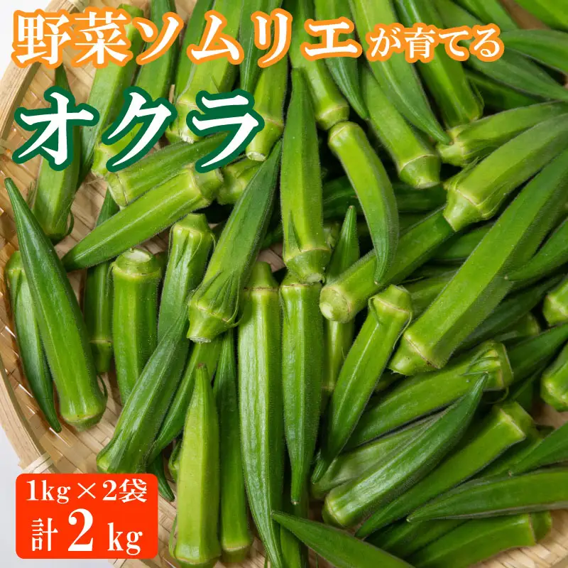 野菜 オクラ 2kg (1kg×2セット) 