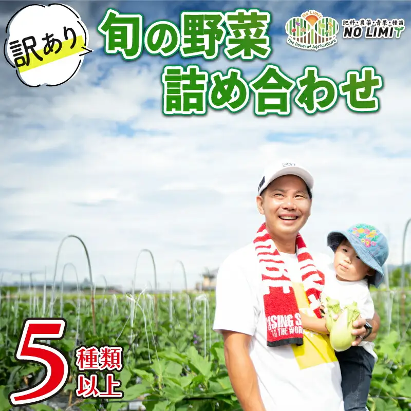 訳あり 野菜 5種以上 詰合せ セット 旬野菜 やさい レタス グリーンリーフ サニーレタス ロメインレタス キャベツ 赤キャベツ 大根 ニラ スナップエンドウ さやえんどう 人参 玉ねぎ ゴーヤ オクラ 茄子 白茄子 生姜 青ネギ 農家直送 産地直送 新鮮 旬 おかず 弁当 日用 惣菜 不揃い 規格外 冷蔵 お取り寄せ 徳島県 阿波市