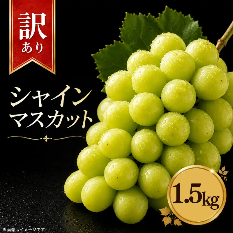 訳あり シャインマスカット 約1.5kg 【 シャインマスカット 】