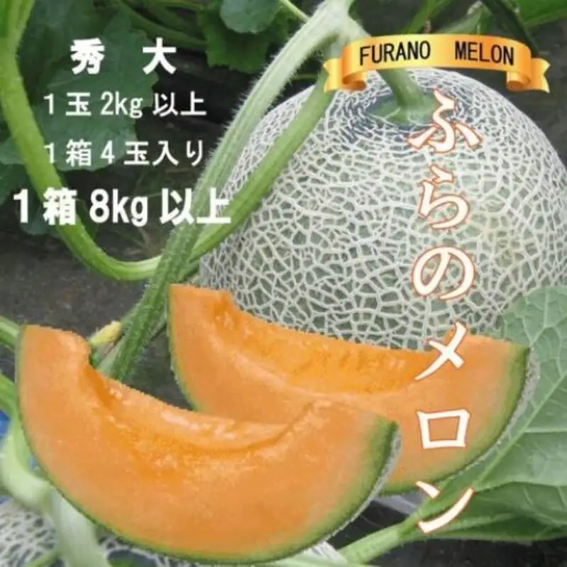 2026年夏発送 ふらのメロン 赤肉 秀大4玉 計8kg以上 富良野 メロン