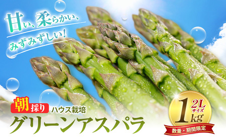 グリーンアスパラ ハウス栽培 2Lサイズ 富良野産 グリーンアスパラ【1kg】