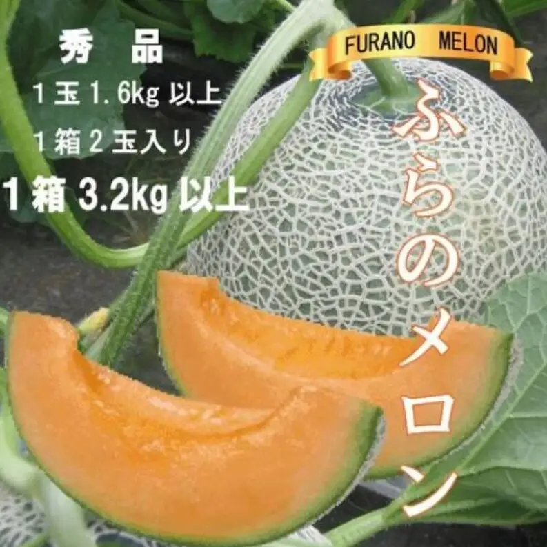 2026年夏発送 ふらのメロン 赤肉 秀品2玉 計3.2kg以上 富良野 メロン