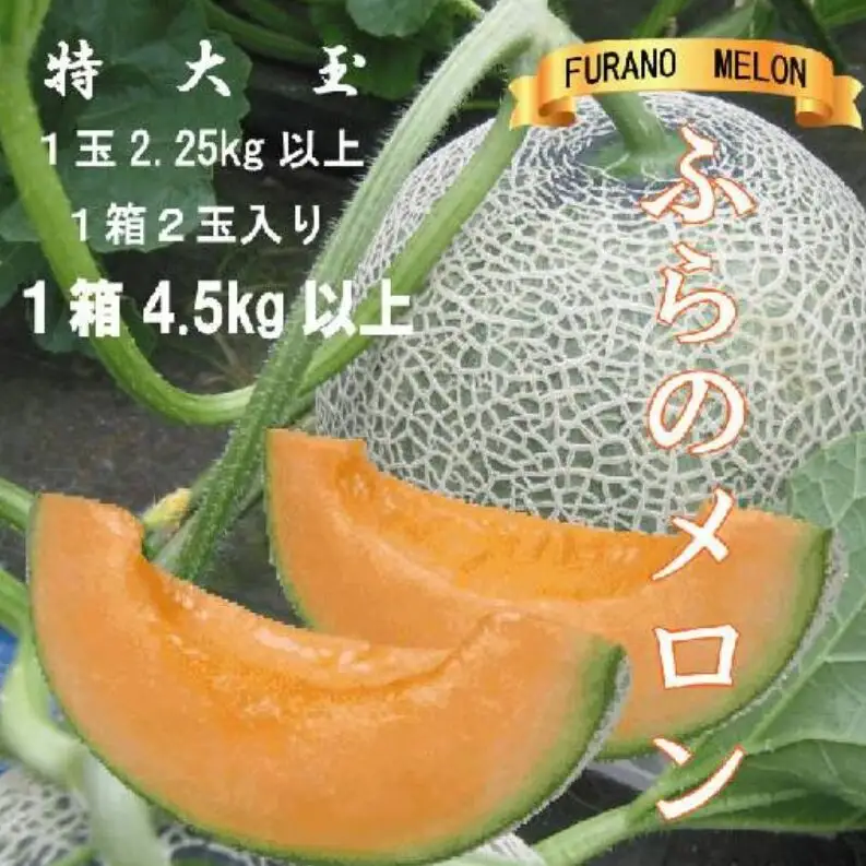 2026年発送 富良野メロン 赤肉 特大玉 2玉 計4.5kg以上 メロン