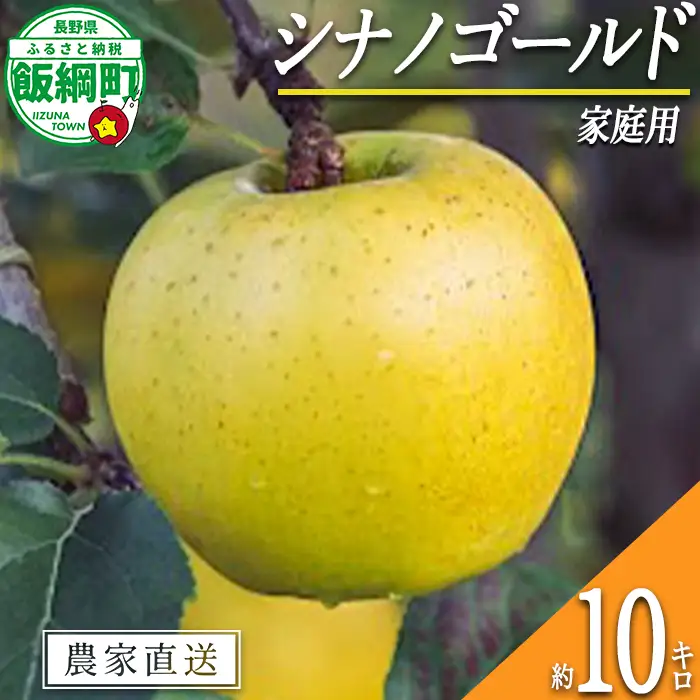 りんご シナノゴールド 家庭用 10kg 信州いいづな 相澤農園株式会社 2026年11月上旬頃から2027年2月上旬頃まで順次発送予定 令和8年度収穫分 長野県 飯綱町 [1854]