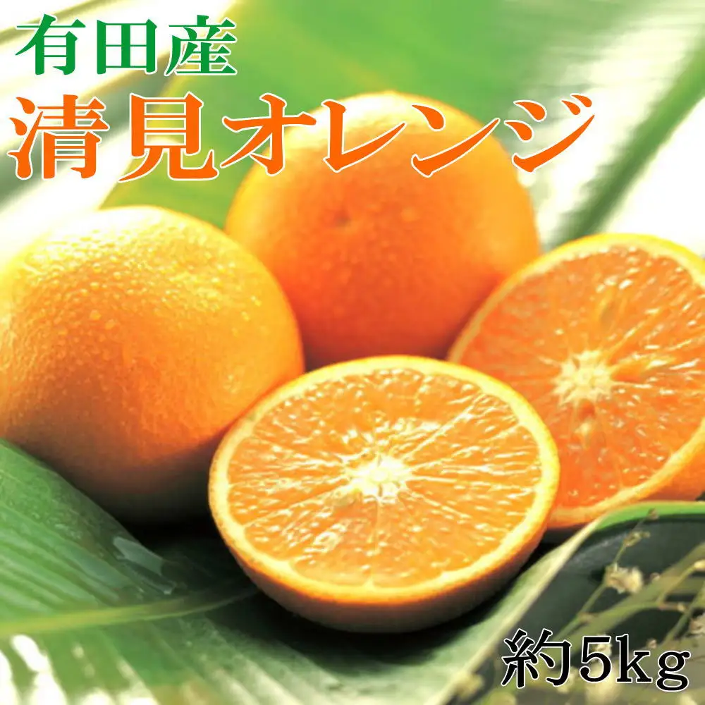 【濃厚】有田産清見オレンジ約5kg（サイズおまかせ 青秀以上） ※2027年2月中旬～2027年3月中旬頃に順次発送予定（日付指定不可）【tec958】