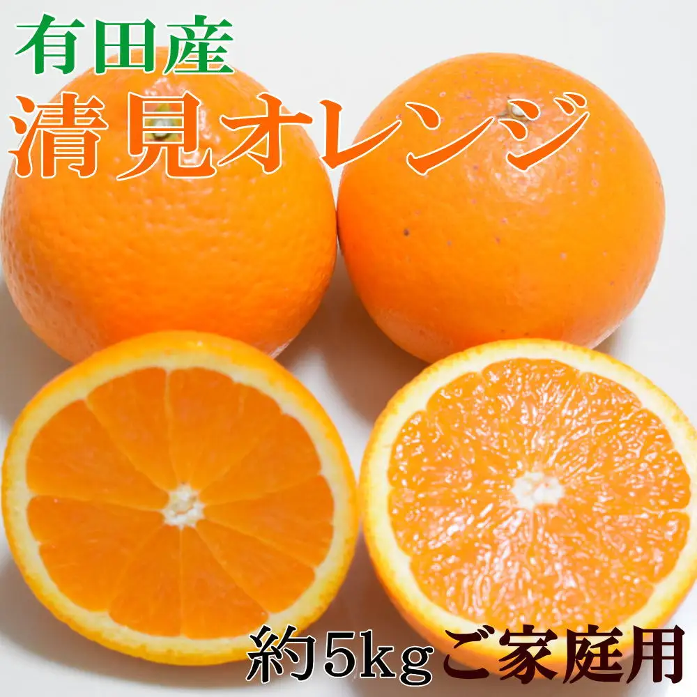 【濃厚】有田産清見オレンジ約5kg(M～3Lサイズおまかせ)ご家庭用 ※2027年2月中旬～2027年3月中旬頃に順次発送予定（日付指定不可）【tec959A】