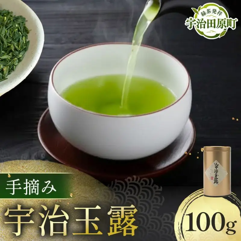 玉露 宇治玉露 手摘み 京都 玉露【100g】