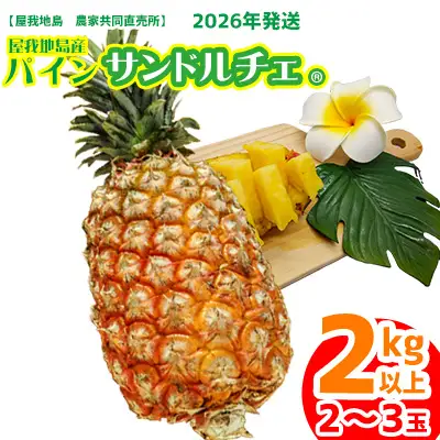 2026年【屋我地島　農家協同直売所】　屋我地島のサンドルチェ2kg以上 沖縄 なご パイナップル 県産 お取り寄せ 厳選 こだわり 果物 くだもの あまい 酸味 お土産 食べ物 美味しい 南国 おきなわ オキナワ やんばる トロピカル パイン