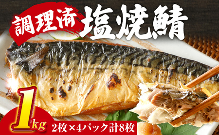 鯖 2枚×4P（約1kg） 塩焼鯖