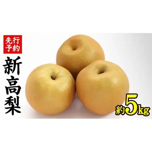 《 先行予約 》 茨城県産 梨 新高 ( 約5kg )【2026年9月中旬頃より発送開始 】
