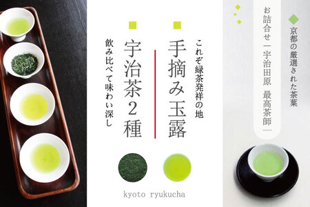 【宇治田原最高茶師】手摘み玉露と宇治茶2種のお詰合せ〈お茶 煎茶 緑茶 玉露 大臣賞