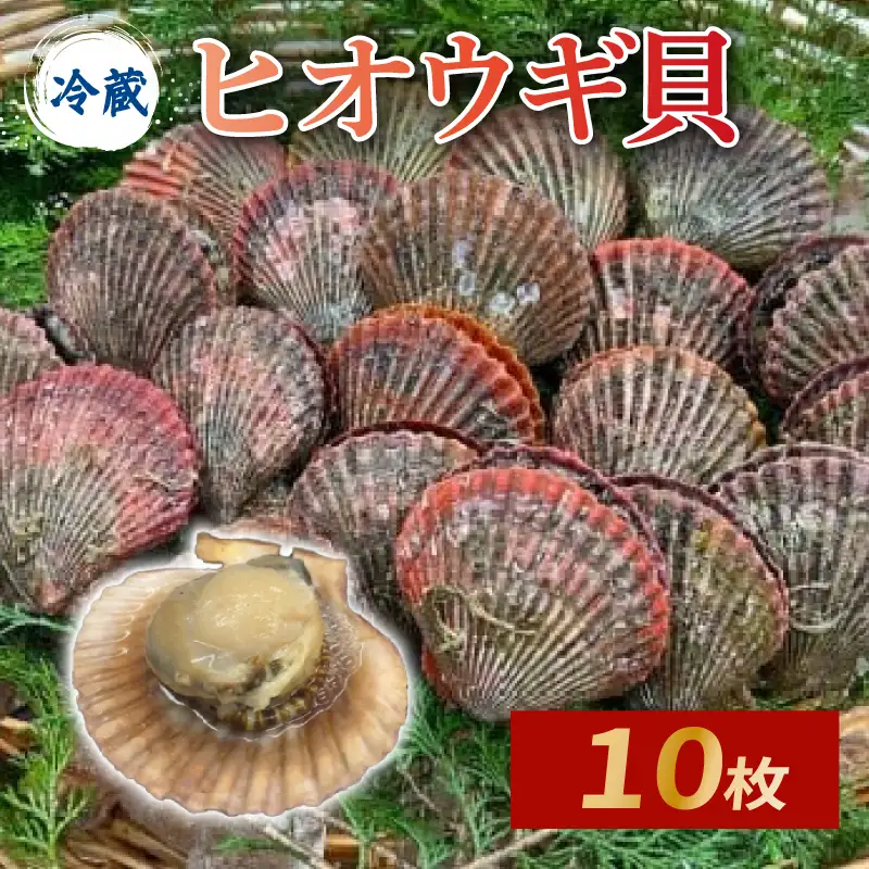ヒオウギ貝10個入（加熱用）【GWGG693】