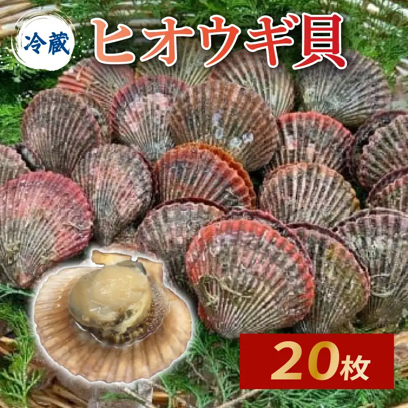 ヒオウギ貝20個入 魚介 貝 海鮮 バーベキュー【GWGG694】