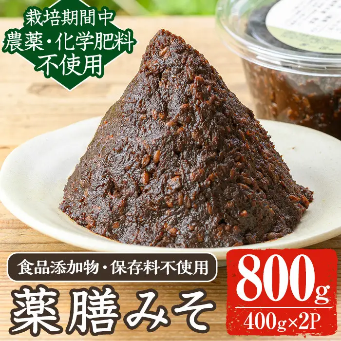 《数量限定》薬膳味噌(ハトムギ味噌)(計800g・400g×2パック) 味噌 麦味噌 自家栽培 ハトムギ 玄米麹 ハトムギ麹 麦麹 麹 こうじ 玄米 大豆 黒大豆 みそ汁 味噌汁 化学肥料不使用 農薬不使用 有機 有機農業 有機肥料【雲月農園】_y456