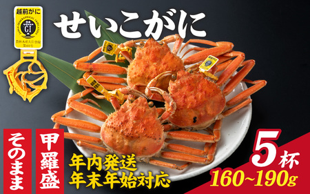 【先行予約】選べる！美味しさ直送【成前特選】せいこがに（160g～190ｇ）×5杯【年内発送・年末年始対応】[E-028010] / せいこがに