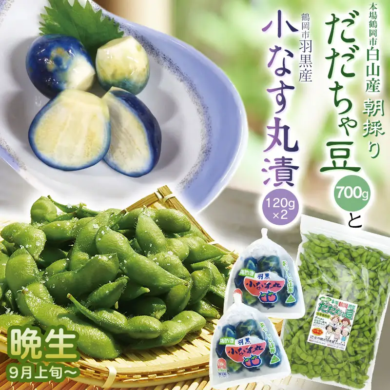 令和8年産　朝採りだだちゃ豆（晩生）700gと小なす丸漬240g（120g×2）セット　庄内観光物産館 | 枝豆 茄子 ナス 漬物 酢漬け 柿酢 特産品 生鮮 野菜 ごはんのお供