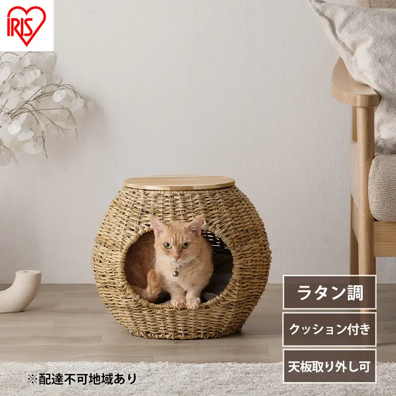 ペットハウス ペット ベッド PHR-B4035 アイリスオーヤマ