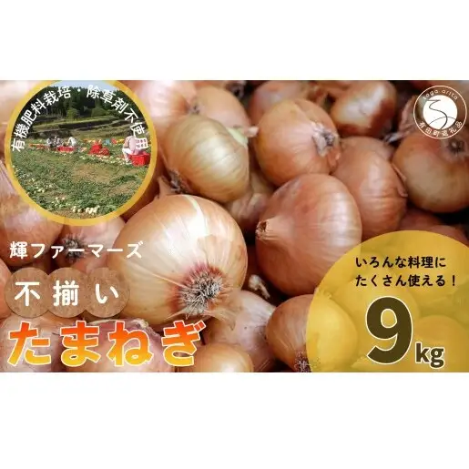 「小玉サイズたまねぎ約9キロ」有機肥料栽培・除草剤不使用 玉ねぎ【輝ファーマーズ】 たまねぎ 小ぶり 便利 お料理 産地直送 健康 こだわり たまねぎ F12-56