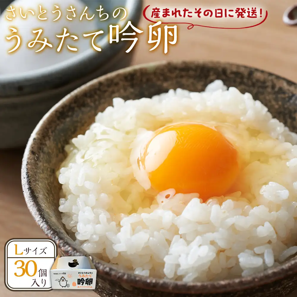 さいとうさんちのうみたて吟卵　30個入り 卵
