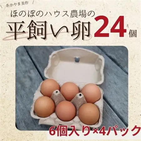 【朝採り】季節の平飼い卵有精卵6個入り×4パック_卵・乳製品 卵  たまご タマゴ 玉子_【配送不可地域：離島】【1487838】