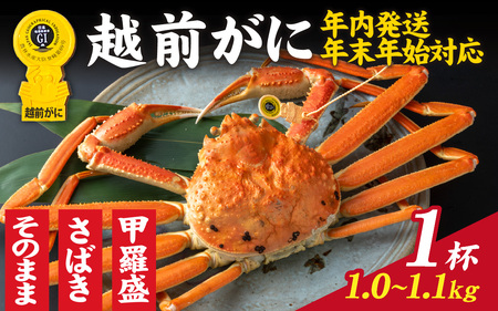 【先行予約】選べる！美味しさ直送【成前特選】越前かに（1.0～1.1kg）1杯【年内発送・年末年始対応】【L-028017】 / ｽﾞﾜｲｶﾞﾆｽﾞﾜｲｶﾞﾆｽﾞﾜｲｶﾞﾆ