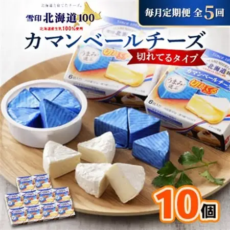 【毎月定期便】雪印北海道 カマンベールチーズ 切れてるタイプ 1箱(90g(6個入り)×10個全5回_卵・乳製品 チーズ    定期便 定期便  _【配送不可地域：離島】【4014039】