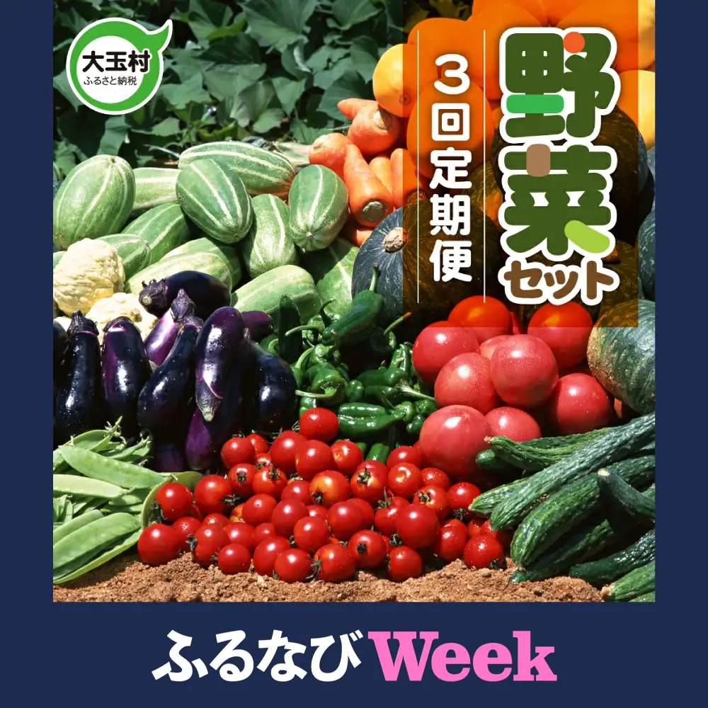 【ふるなびWEEK対象】【3回定期便】野菜定期便 野菜セット 3ヶ月 3回 （毎回10種類前後発送）
