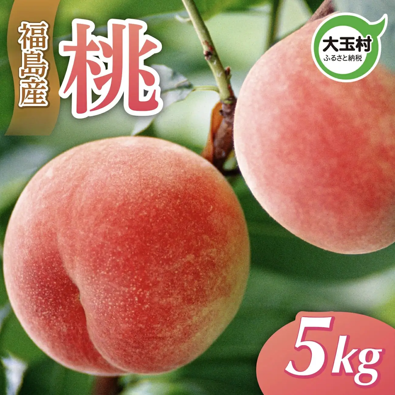 桃 5kg 令和9年産 先行予約