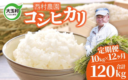 米 コシヒカリ 米 【12回定期便】合計120kg 令和7年 コシヒカリ コシヒカリ コシヒカリ
