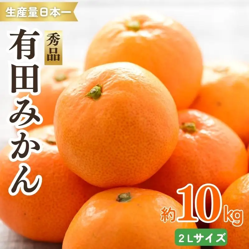 紀州有田みかん 秀品 約10kg　２Lサイズ　※2026年11月下旬より順次発送予定【sml129B】