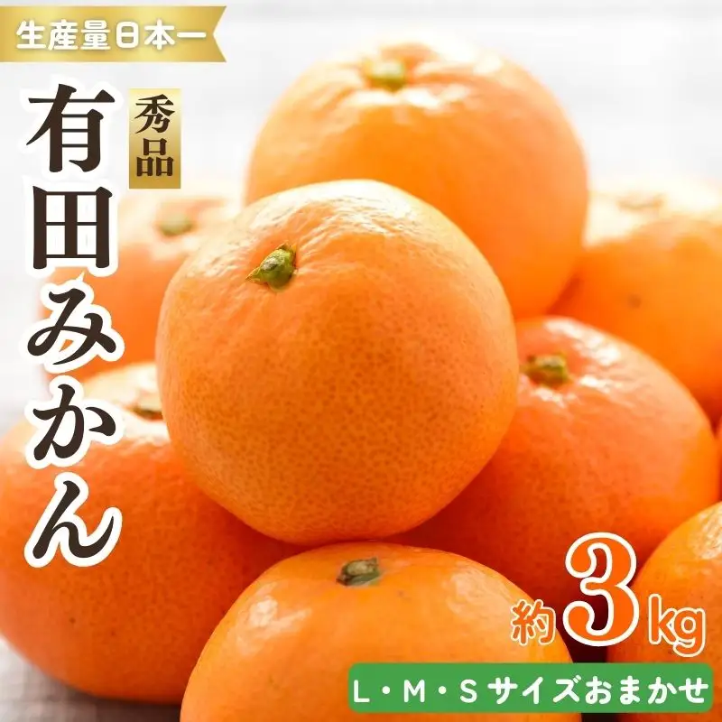 紀州有田みかん 秀品 ３kg（L・M・Sサイズおまかせ）　※2026年11月下旬より順次発送予定【sml128A】