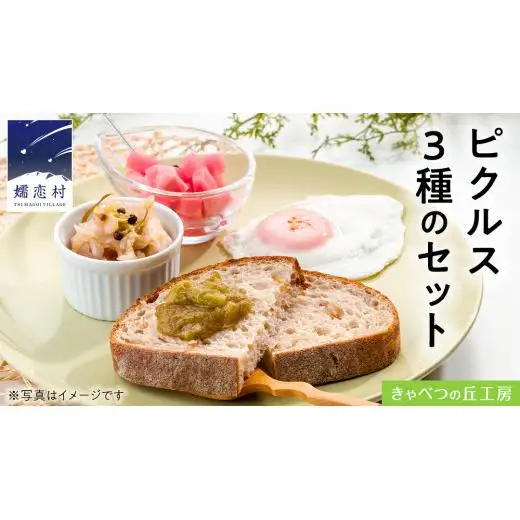 ピクルス 3種 の セット [AB080tu]