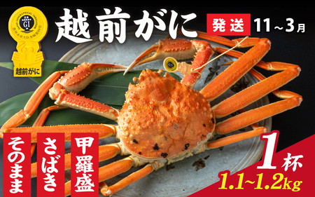 【先行予約】 選べる! 越前かに（1.1kg～1.2kg）×１杯【11月～3月発送】[O-028050] ｽﾞﾜｲｶﾞﾆｽﾞﾜｲｶﾞﾆｽﾞﾜｲｶﾞﾆｽﾞﾜｲｶﾞﾆ