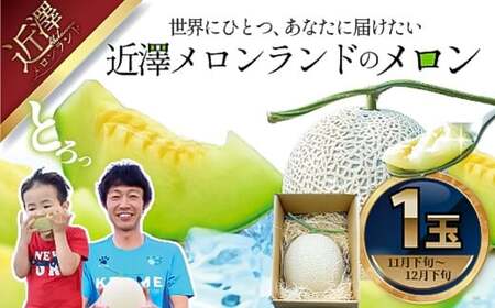 【先行予約】先行予約 メロン 1玉入（約1.4kg〜1.8kg）青肉 〈2026年11月下旬〜12月末頃発送〉 メロン めろん マスクメロン 舐瓜 果物 くだもの フルーツ デザート 旬 ハウス栽培【株式会社とさもん】[BQAE022]